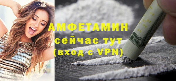 винт Абаза