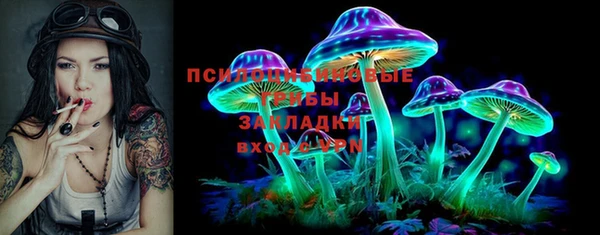 винт Абаза