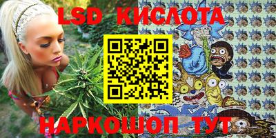 амф Кингисепп