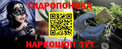 амф Кингисепп