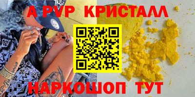 амф Кингисепп