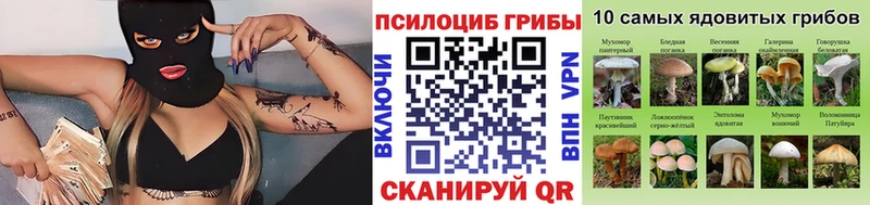 Псилоцибиновые грибы мицелий Магнитогорск