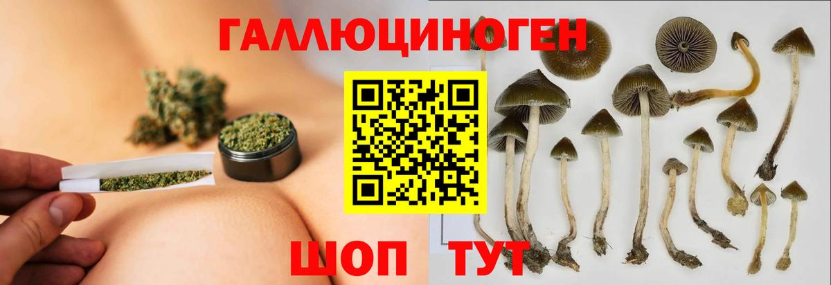 Псилоцибиновые грибы MAGIC MUSHROOMS  Вход с VPN  Магнитогорск 